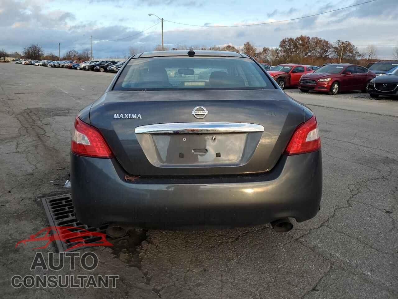 NISSAN MAXIMA 2009 - 1N4AA51E29C849735