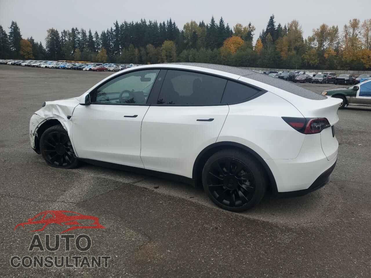 TESLA MODEL Y 2024 - 7SAYGAEE7RF157373