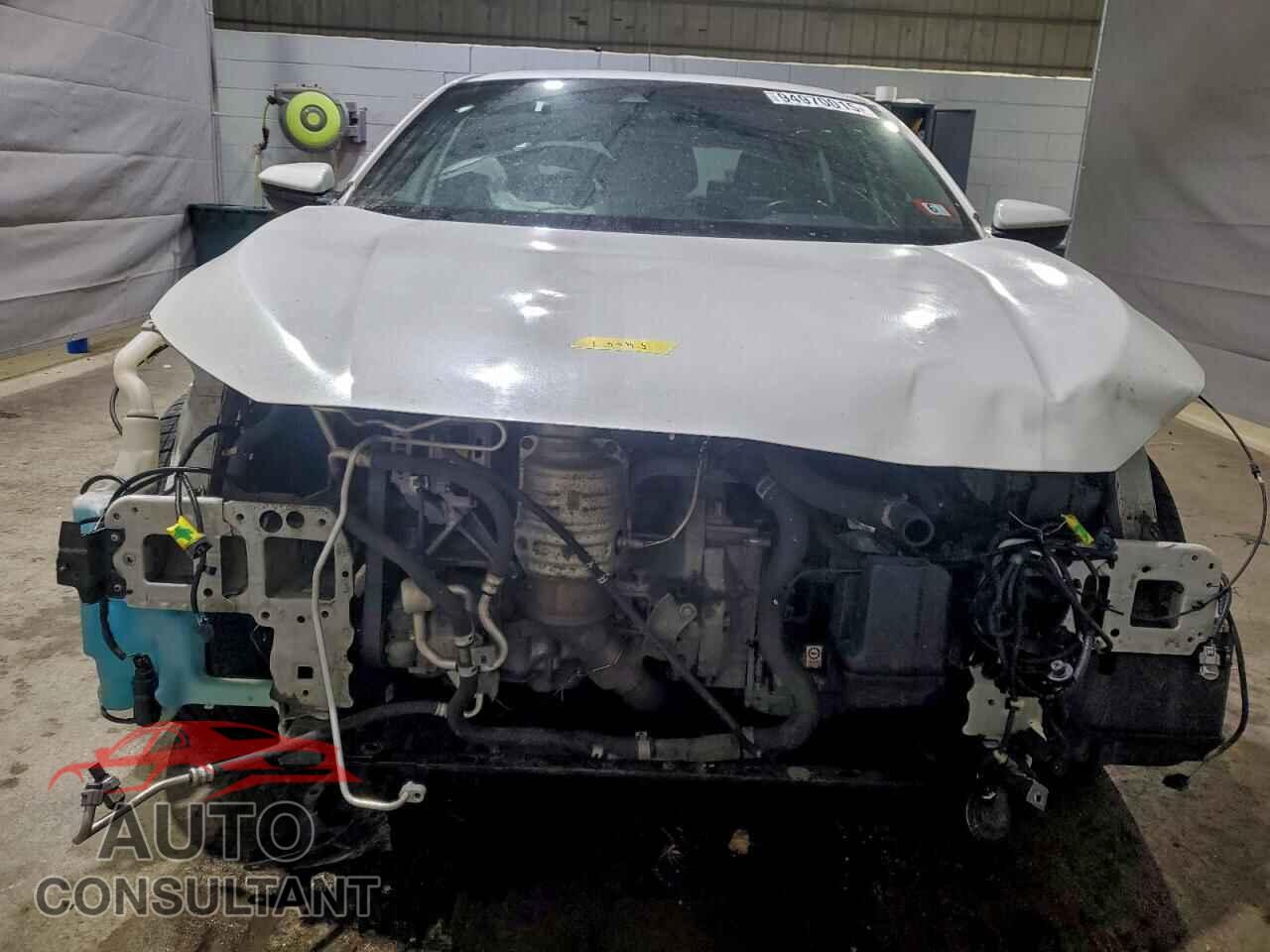 HONDA CIVIC 2019 - 2HGFC2F80KH599055
