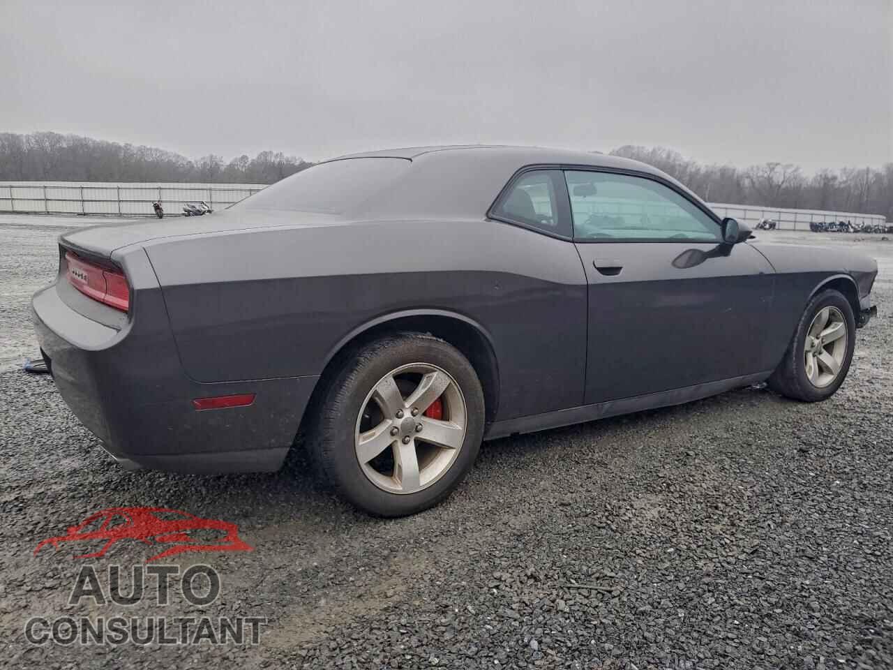 DODGE CHALLENGER 2014 - 2C3CDYAG6EH127029