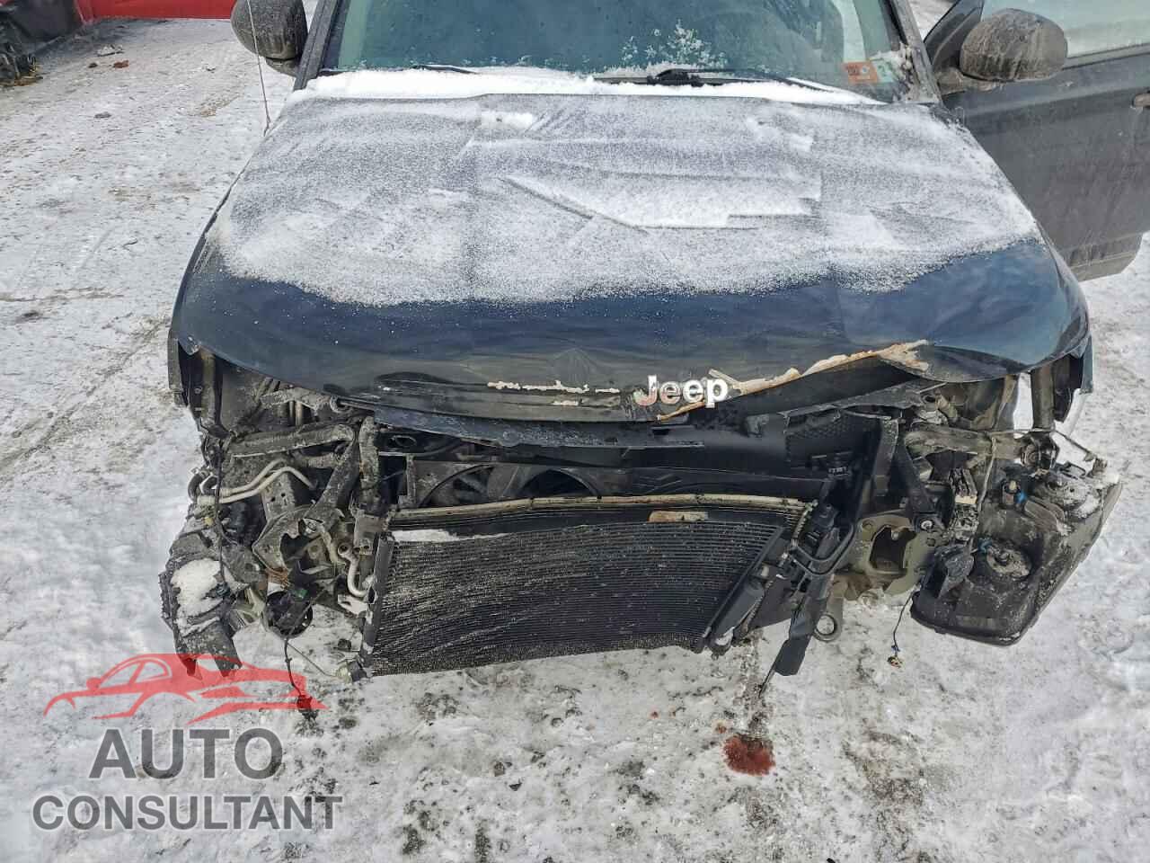 JEEP COMPASS 2014 - 1C4NJDBB8ED809058