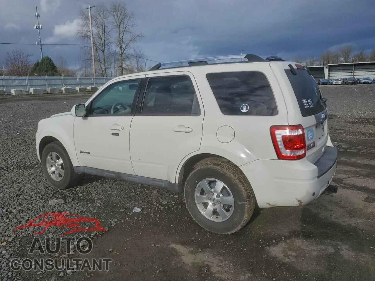 FORD ESCAPE 2010 - 1FMCU4K31AKB62589