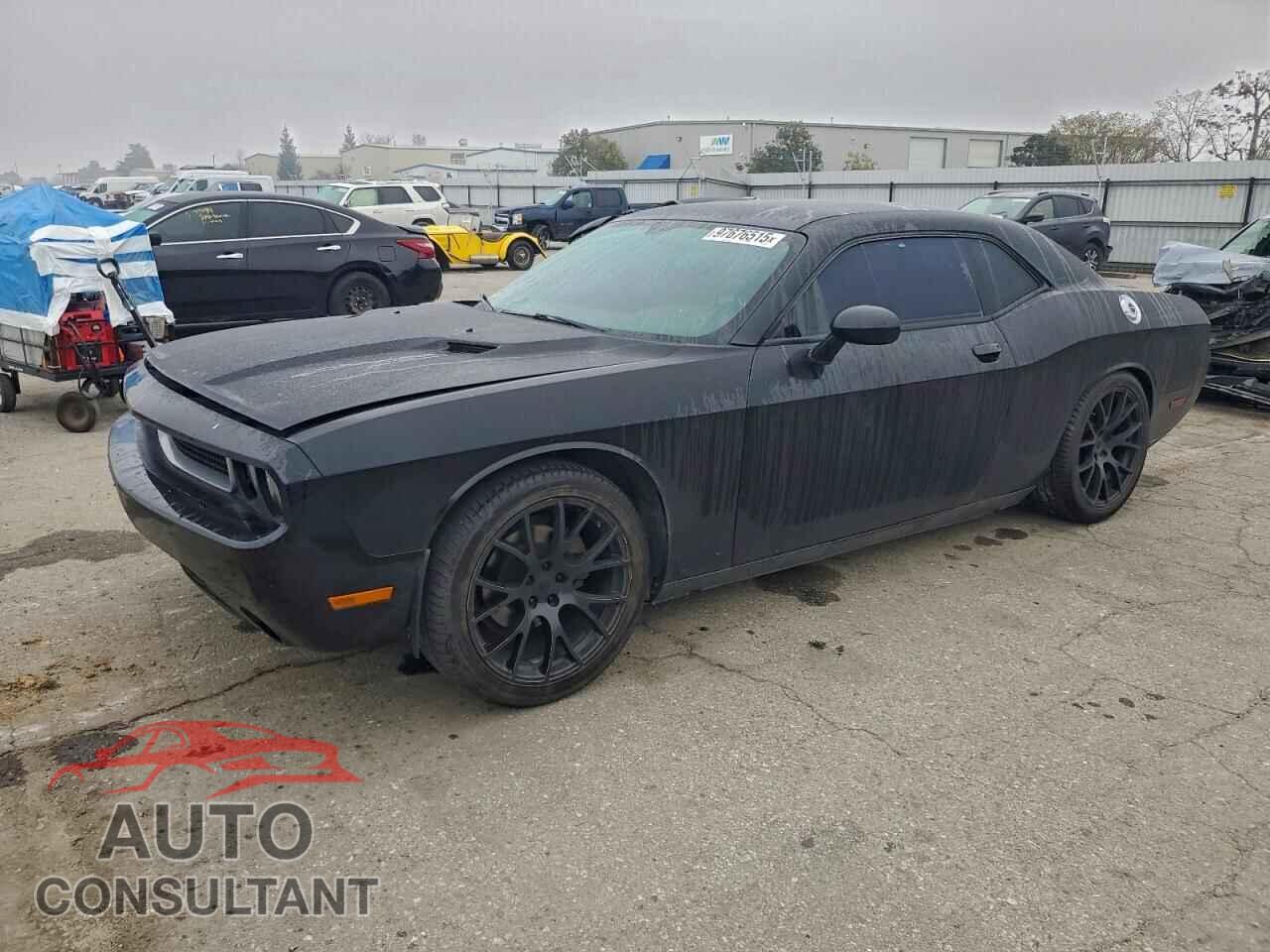 DODGE CHALLENGER 2013 - 2C3CDYAG1DH683490