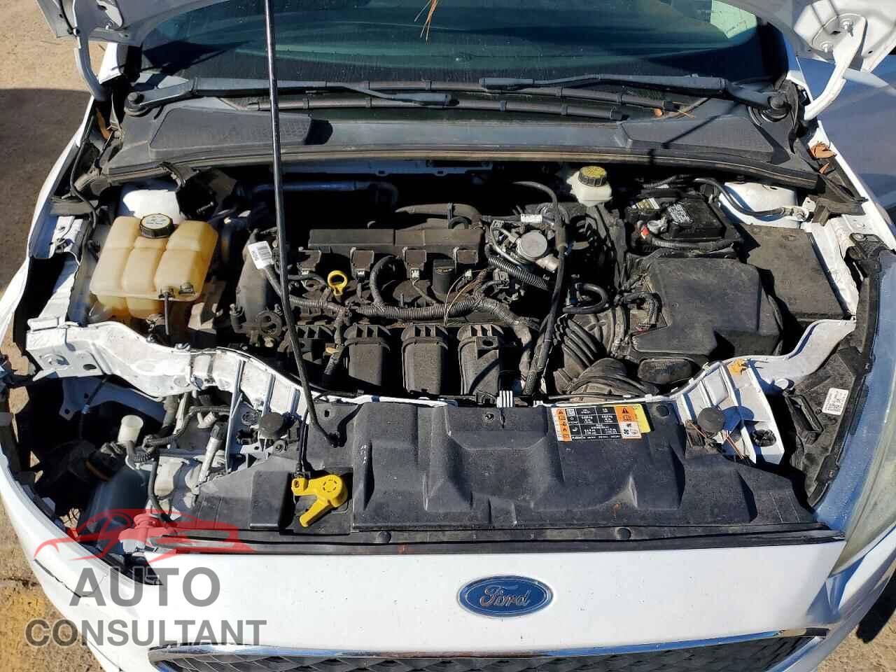 FORD FOCUS 2017 - 1FADP3F23HL222913