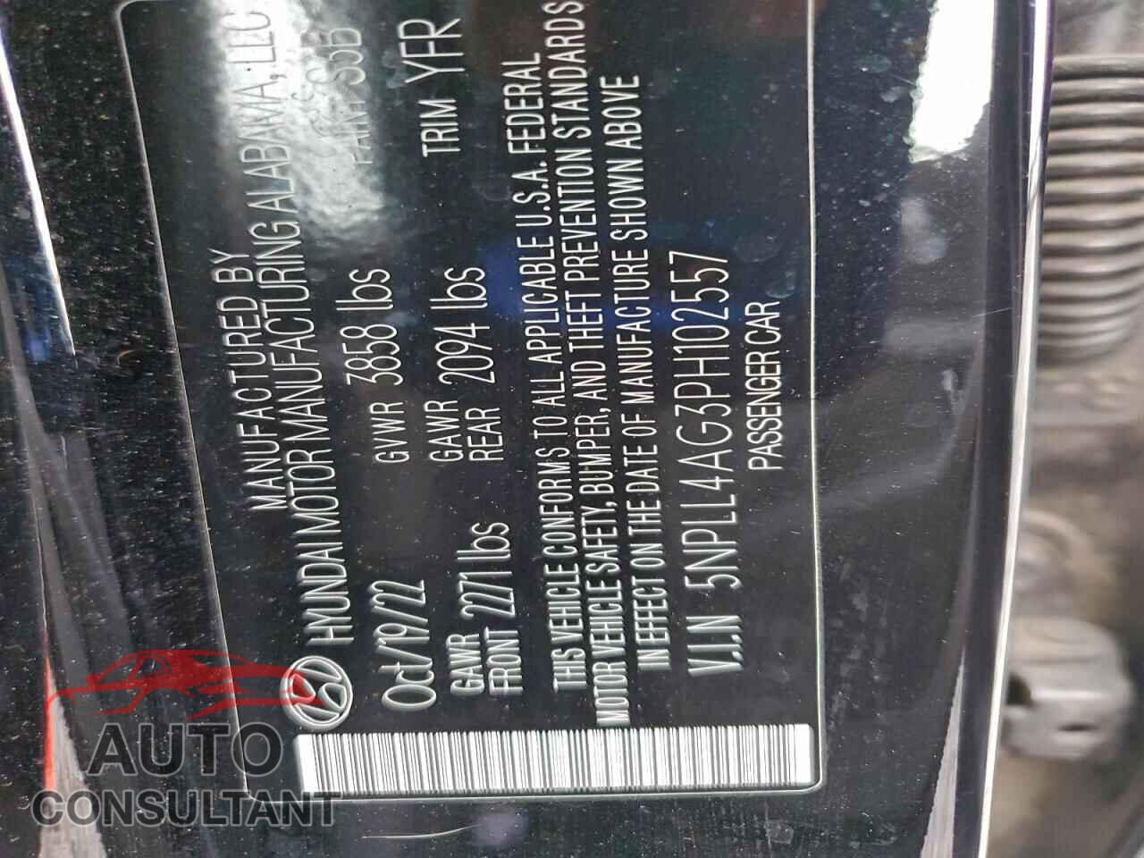 HYUNDAI ELANTRA 2023 - 5NPLL4AG3PH102557