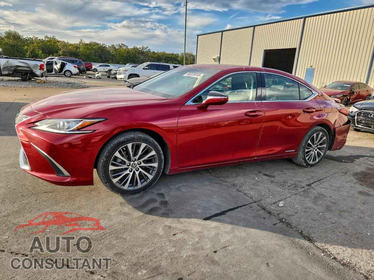 LEXUS ES300 2019 - JTHB21B17K2005491