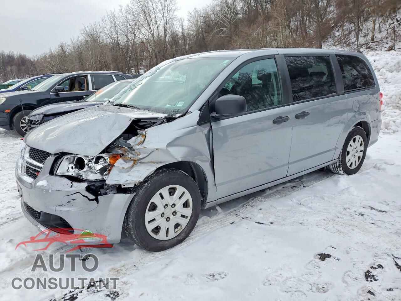 DODGE CARAVAN 2019 - 2C4RDGBG1KR745427