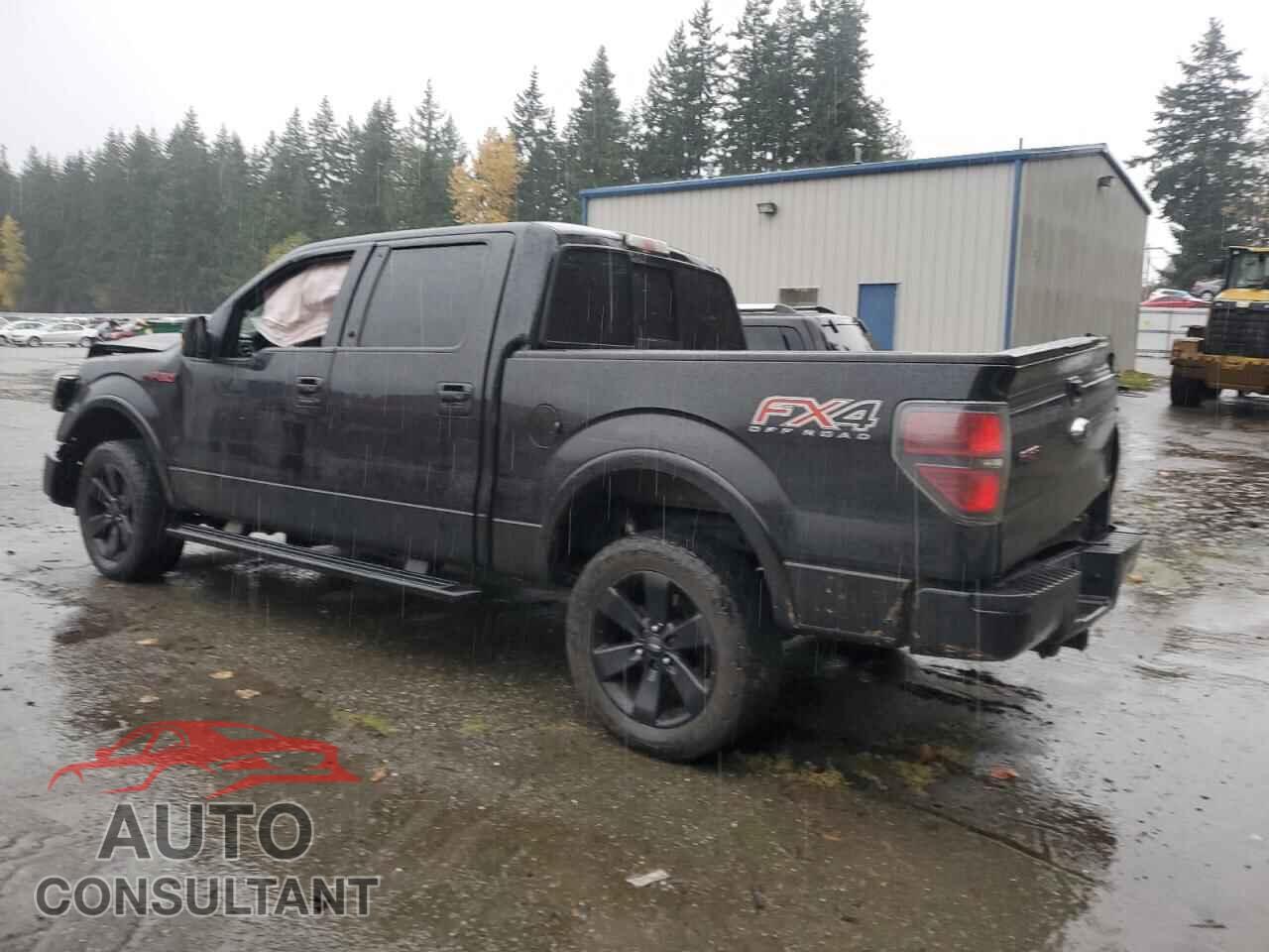 FORD F-150 2014 - 1FTFW1ET3EFC11277