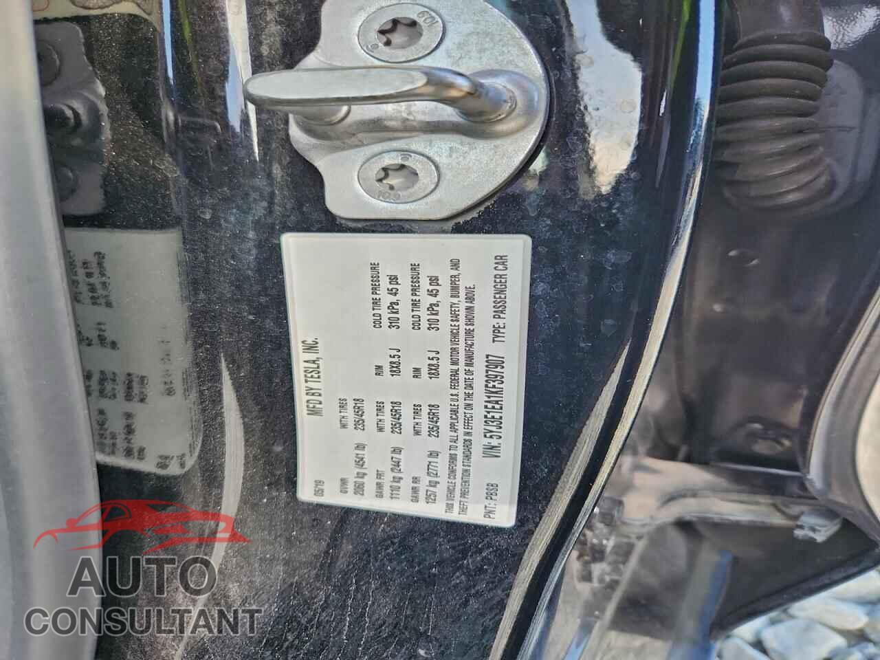 TESLA MODEL 3 2019 - 5YJ3E1EA1KF397907