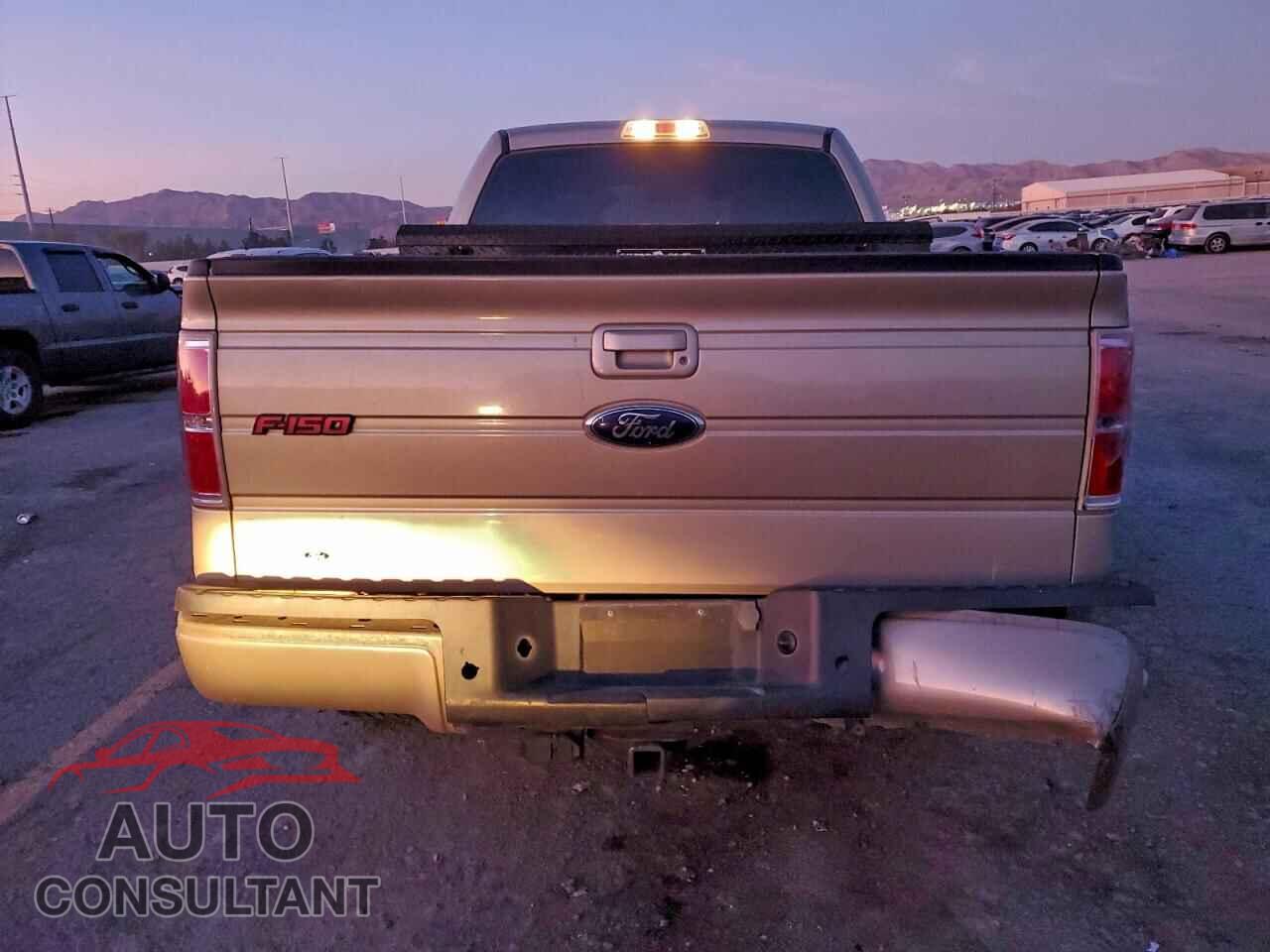 FORD F-150 2009 - 1FTRW12829FA04138
