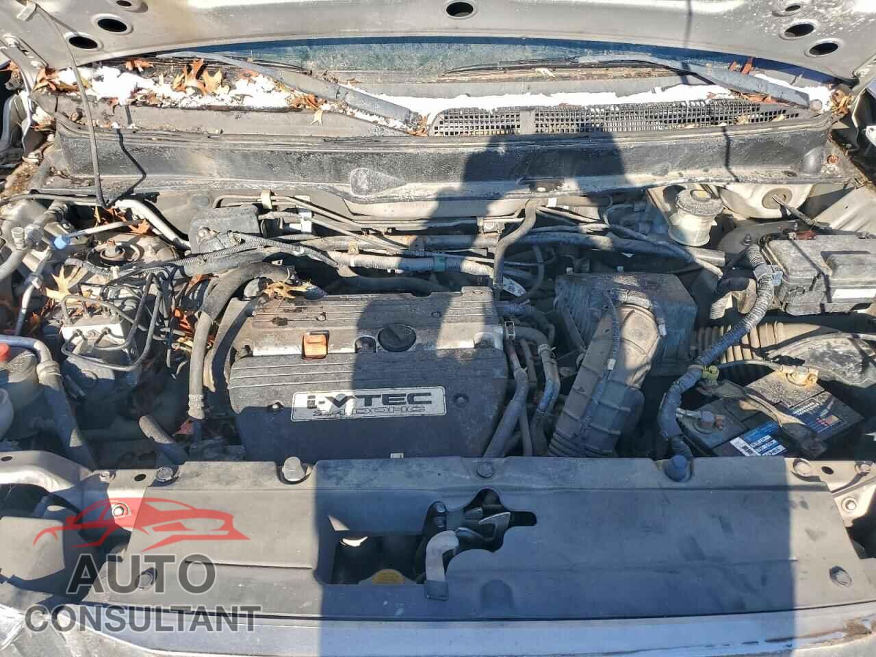 HONDA ELEMENT 2010 - 5J6YH2H74AL007701