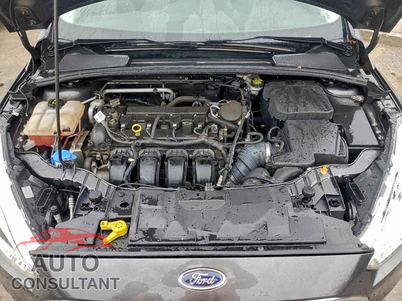 FORD FOCUS 2016 - 1FADP3F22GL201890