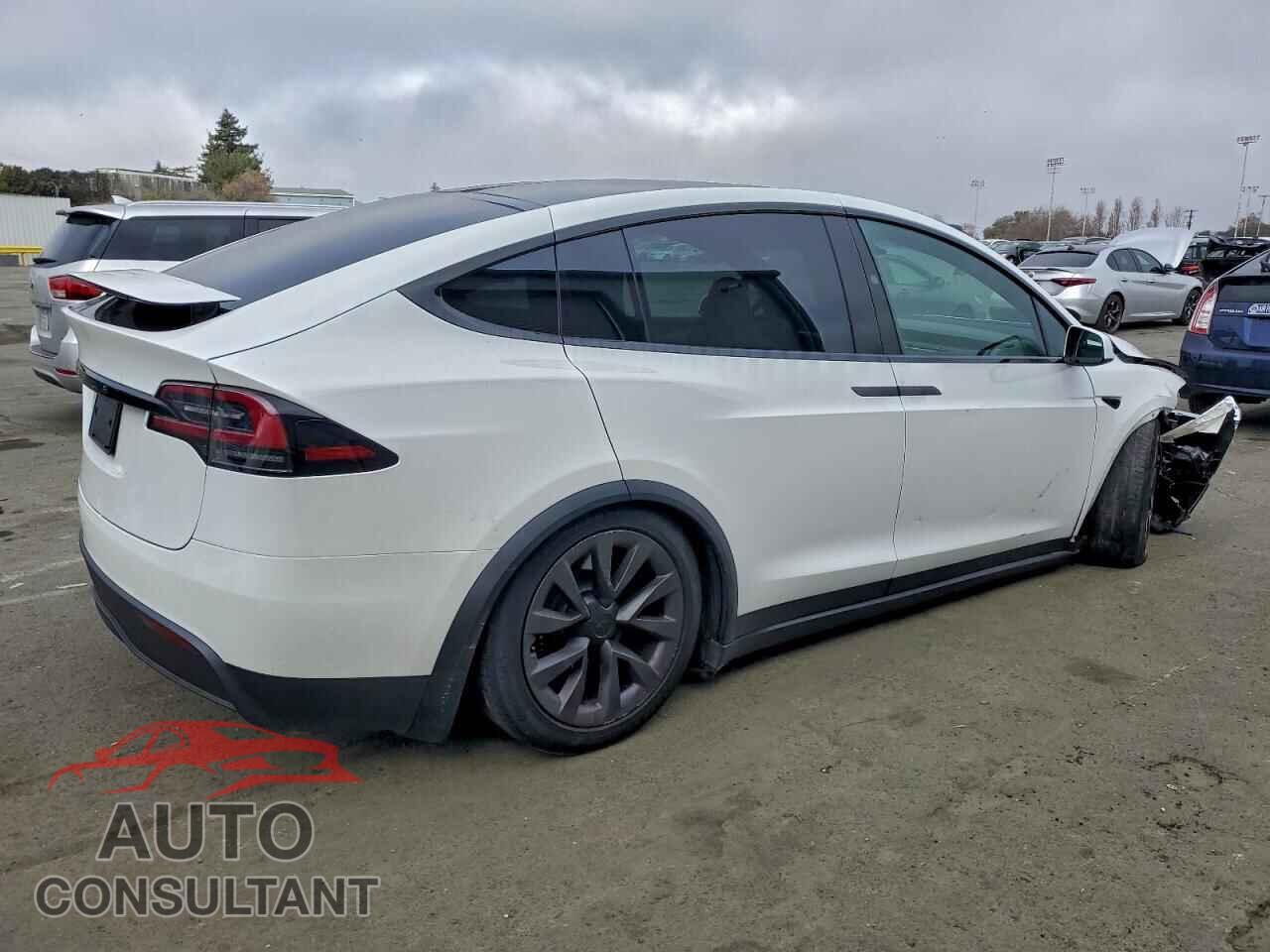 TESLA MODEL X 2024 - 7SAXCBE59RF447319