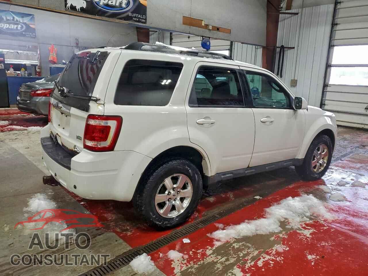FORD ESCAPE 2011 - 1FMCU9EG2BKA48324