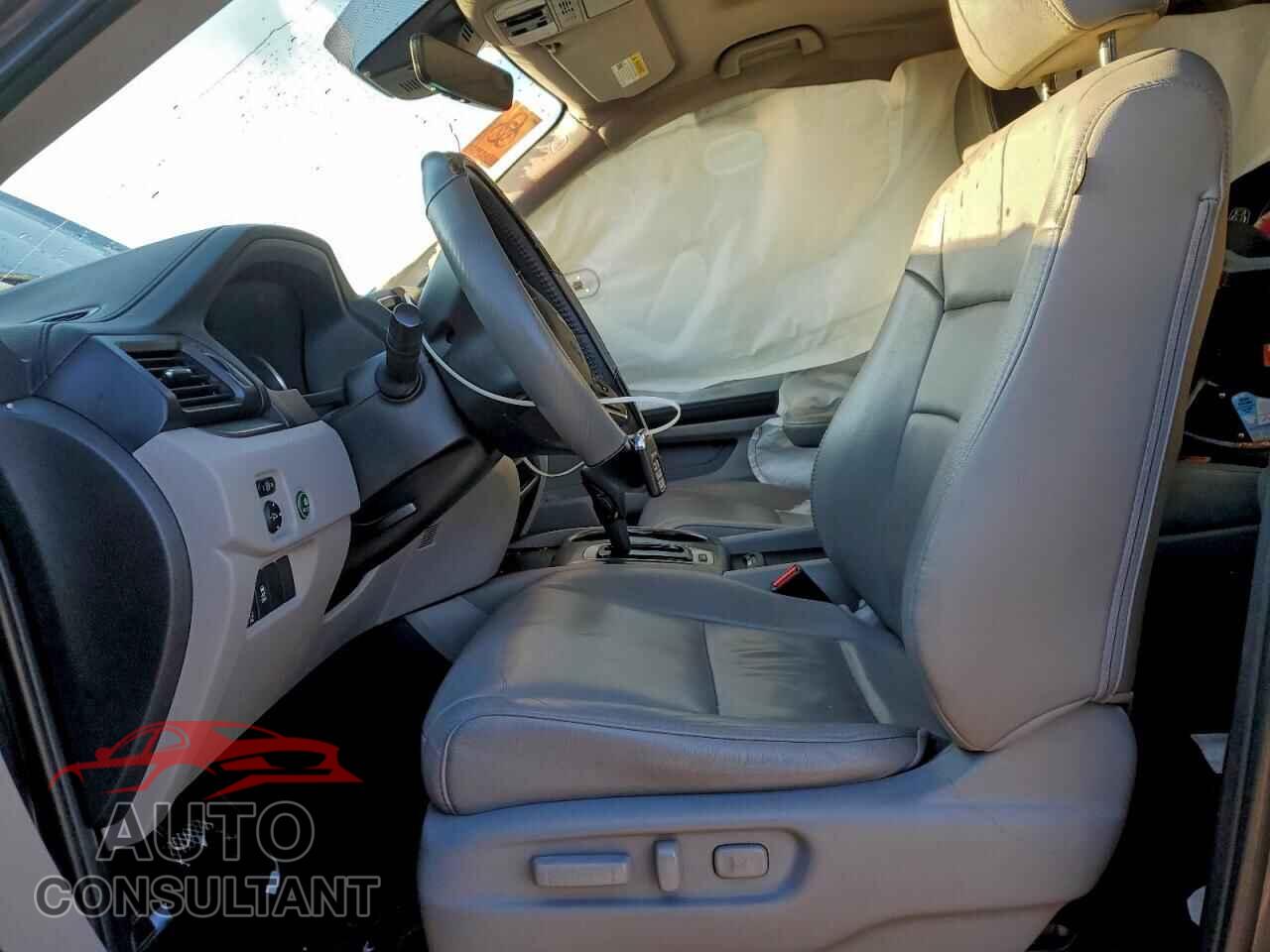 HONDA PILOT 2019 - 5FNYF6H55KB058758