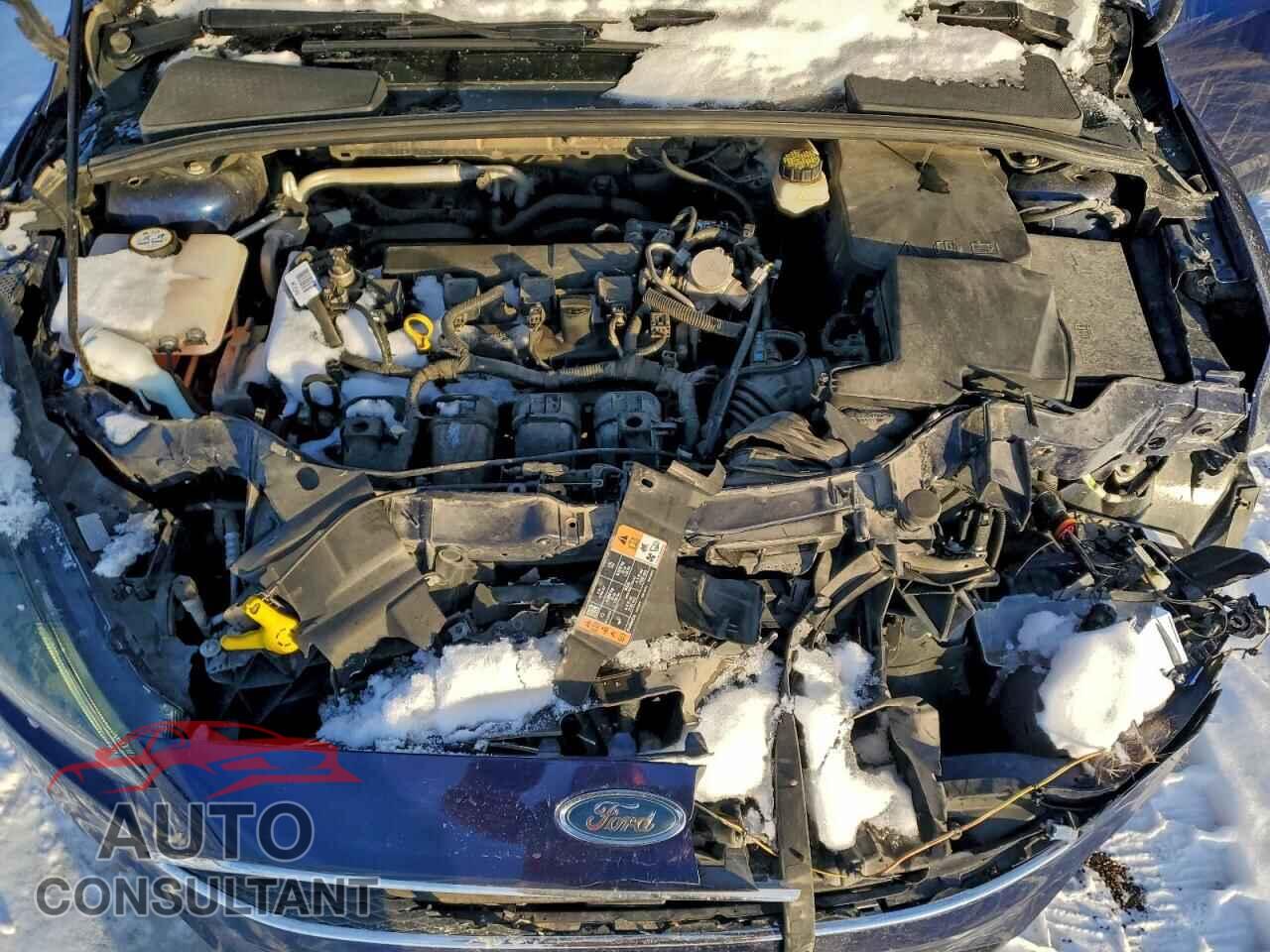 FORD FOCUS 2017 - 1FADP3H21HL209266