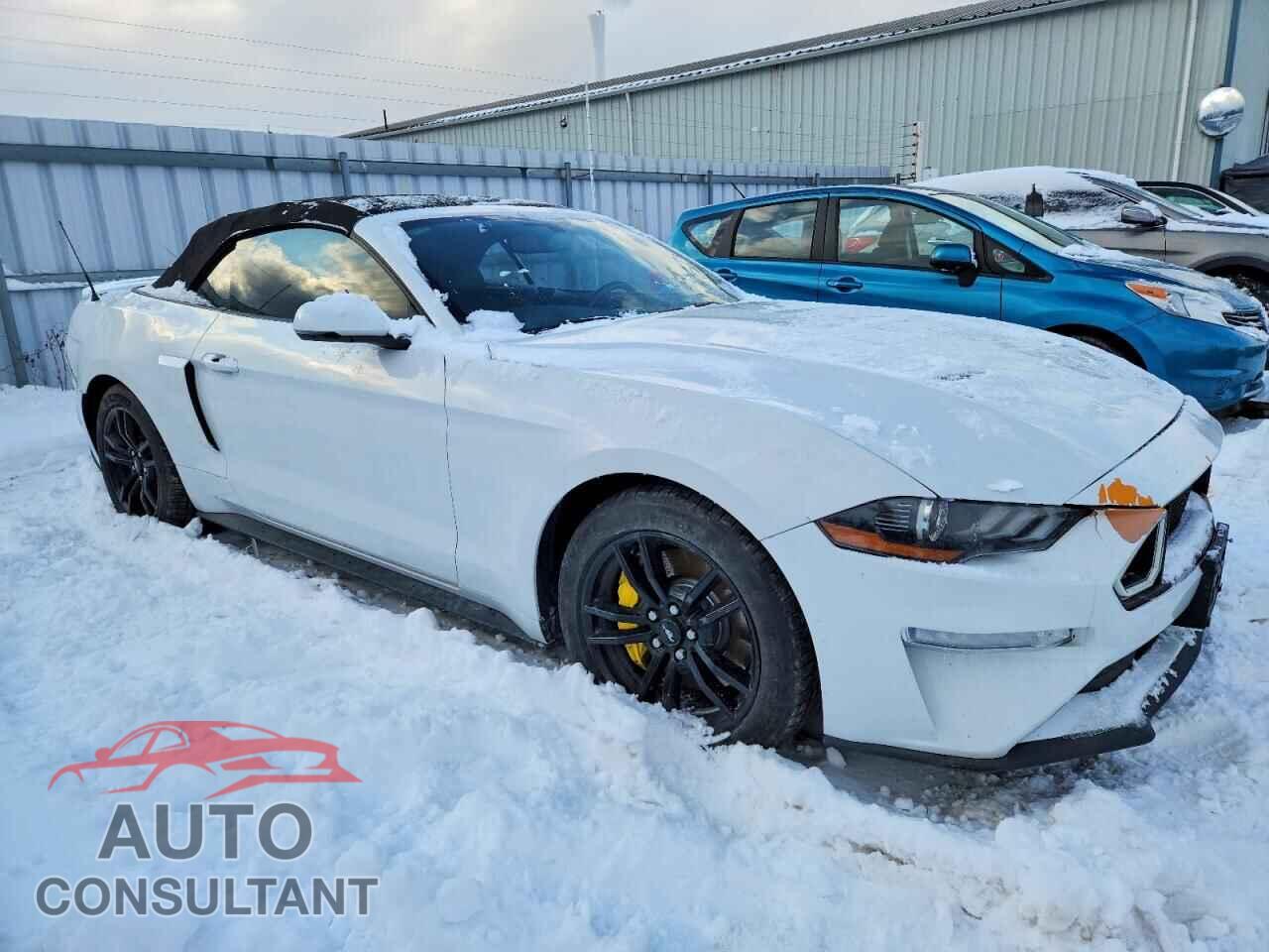 FORD MUSTANG 2019 - 1FATP8FF8K5190175