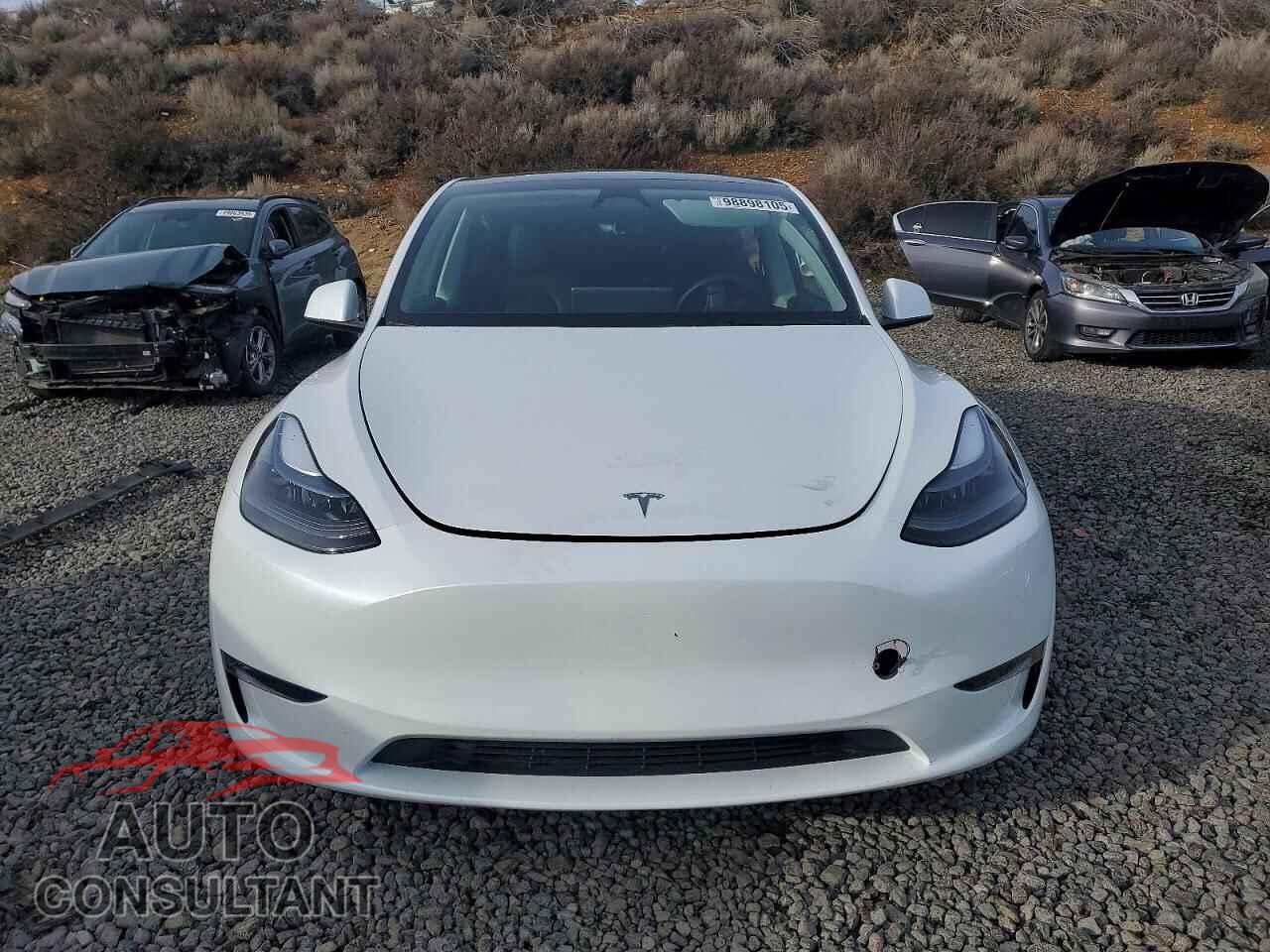 TESLA MODEL Y 2023 - 7SAYGDEF1PF898917