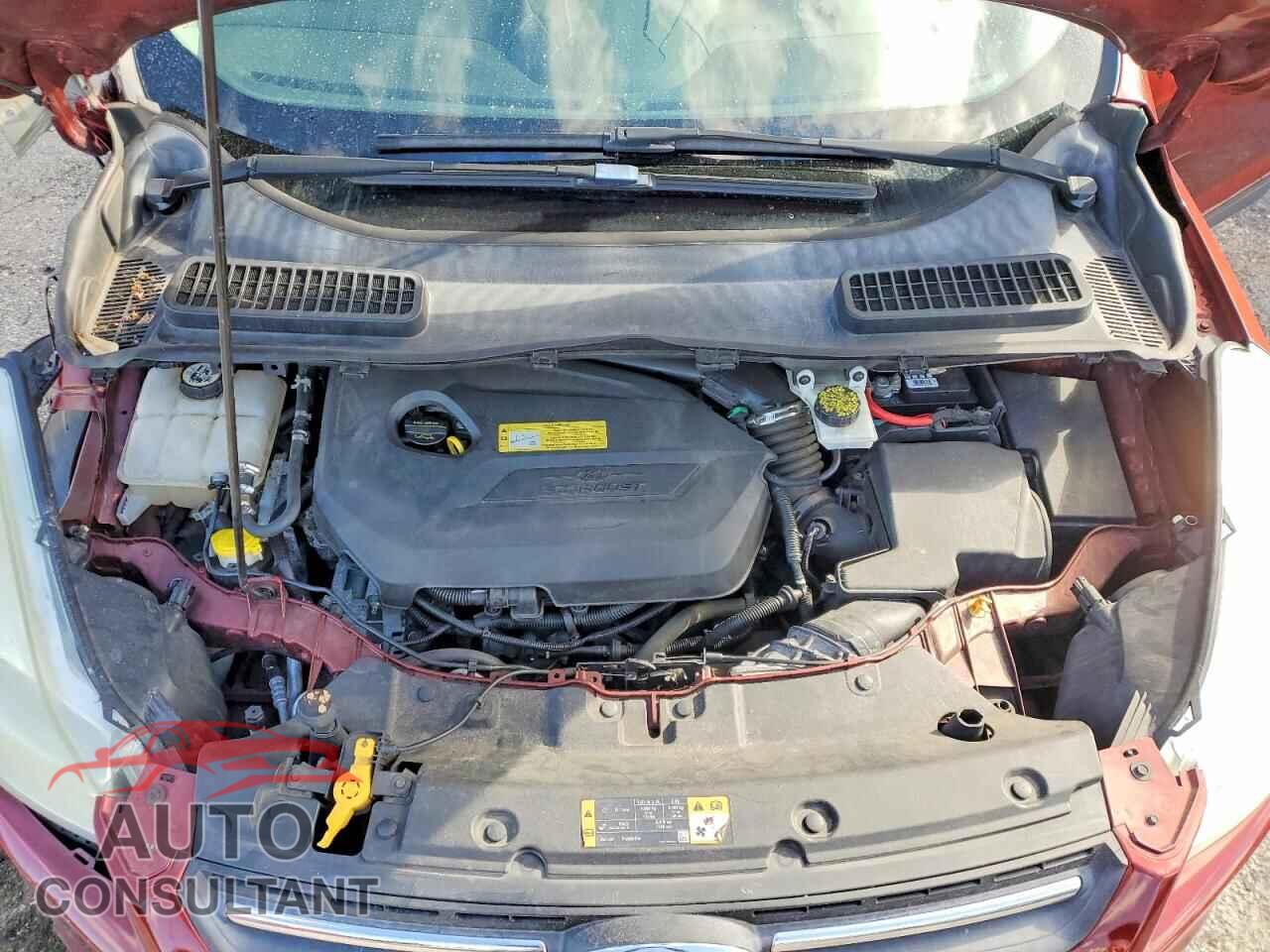 FORD ESCAPE 2014 - 1FMCU0GX4EUB81443