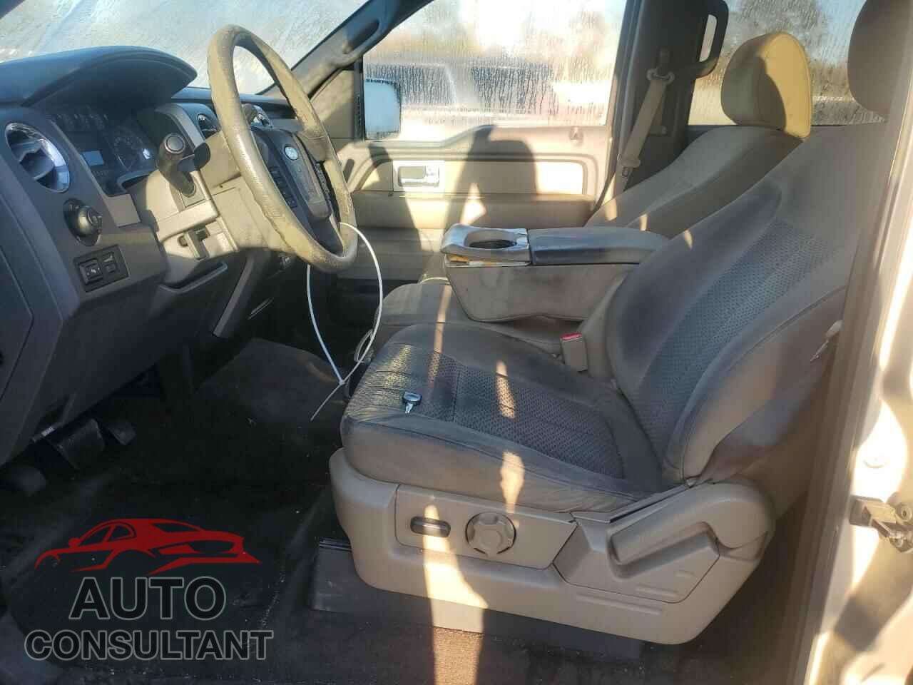 FORD F-150 2010 - 1FTEW1C8XAFA94401