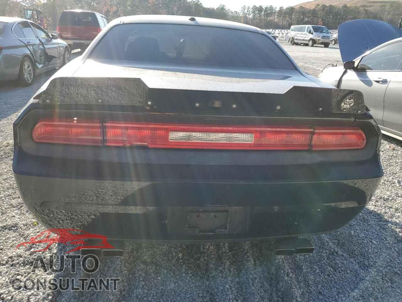 DODGE CHALLENGER 2013 - 2C3CDYBT0DH671052