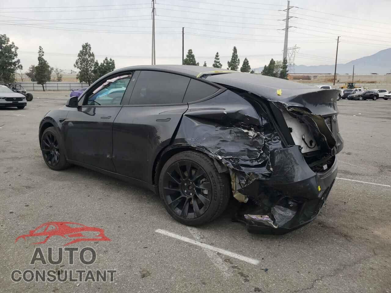 TESLA MODEL Y 2024 - 7SAYGDEE2RF164068