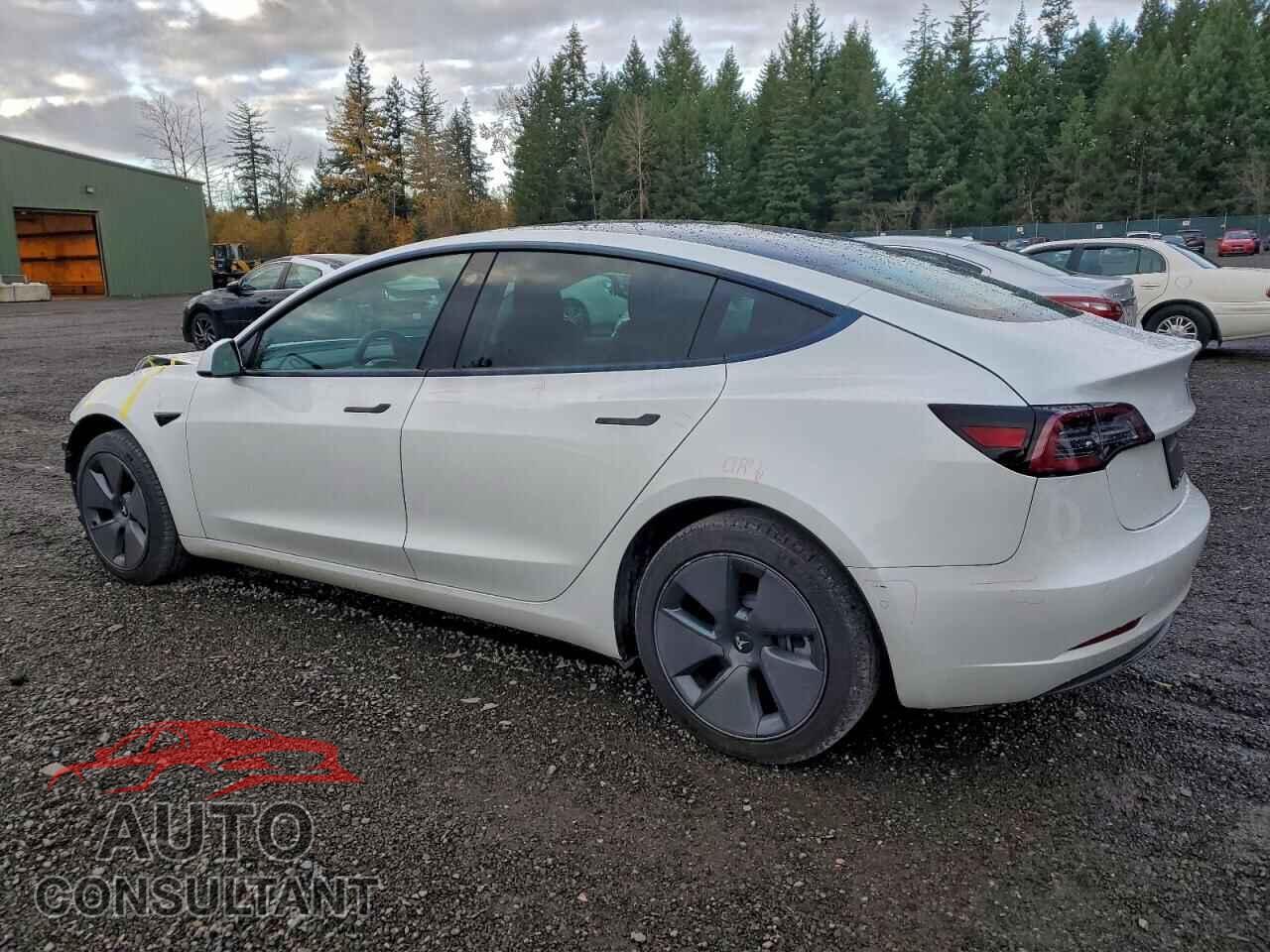 TESLA MODEL 3 2021 - 5YJ3E1EA8MF877025