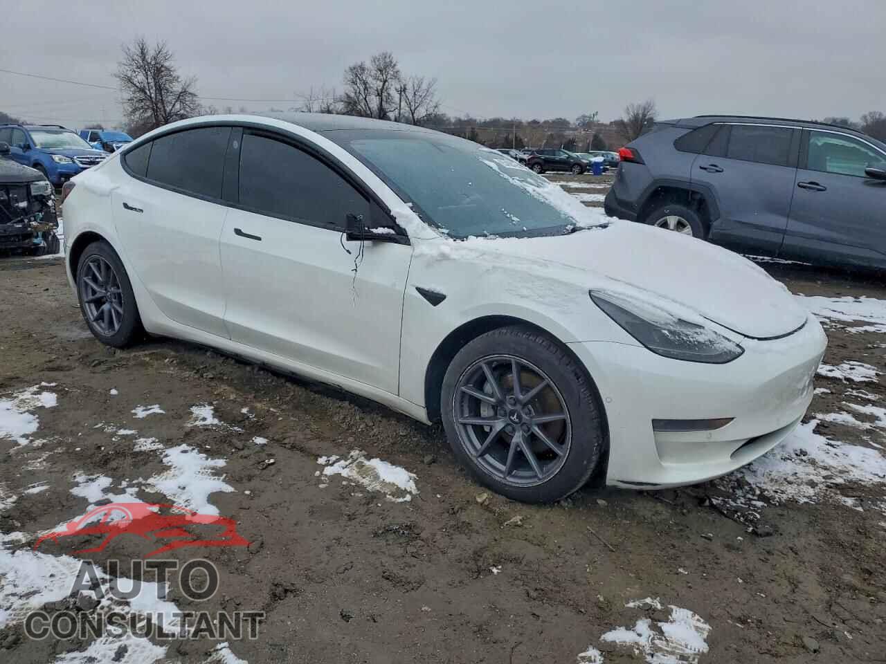 TESLA MODEL 3 2021 - 5YJ3E1EA2MF919799