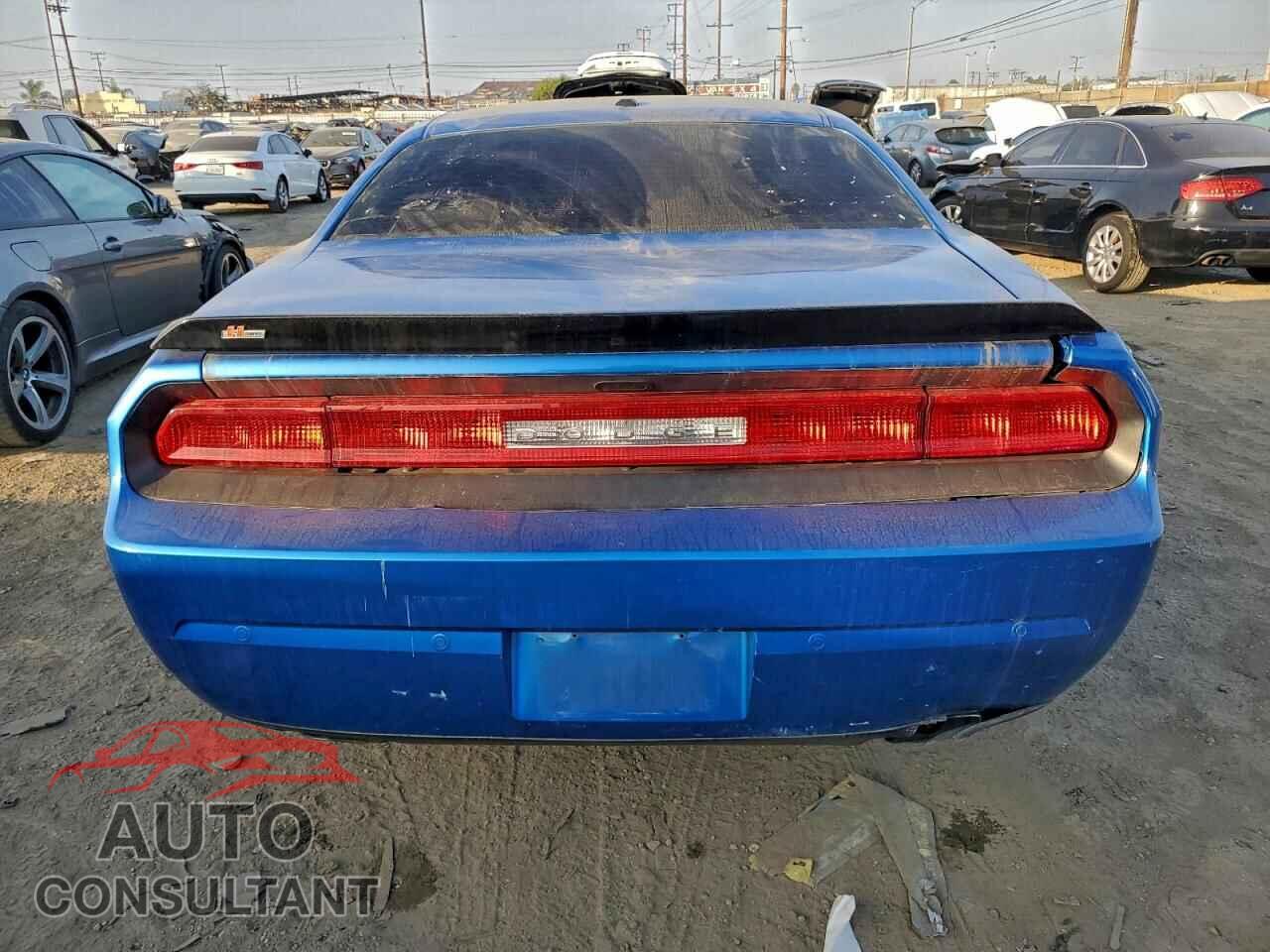 DODGE CHALLENGER 2013 - 2C3CDYBT3DH575402
