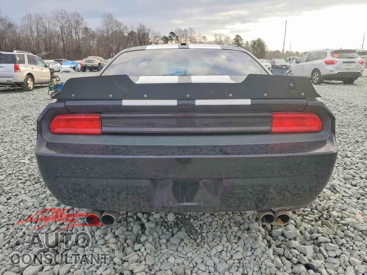 DODGE CHALLENGER 2014 - 2C3CDYBT9EH282220