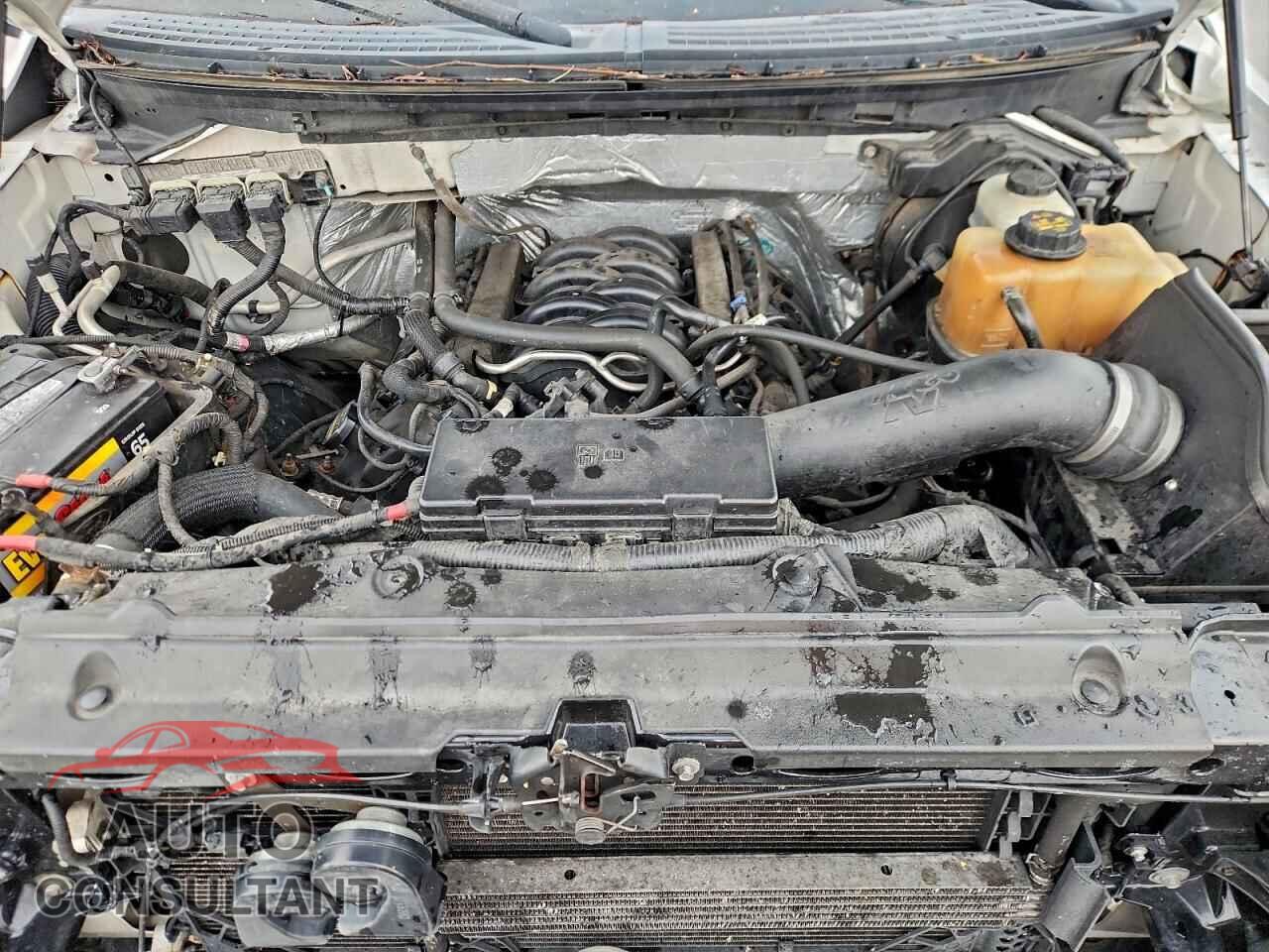 FORD F-150 2013 - 1FTFW1EF8DFA72434