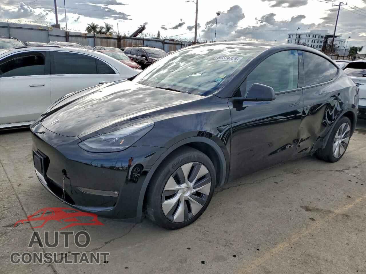 TESLA MODEL Y 2024 - 7SAYGDEE8RF081602