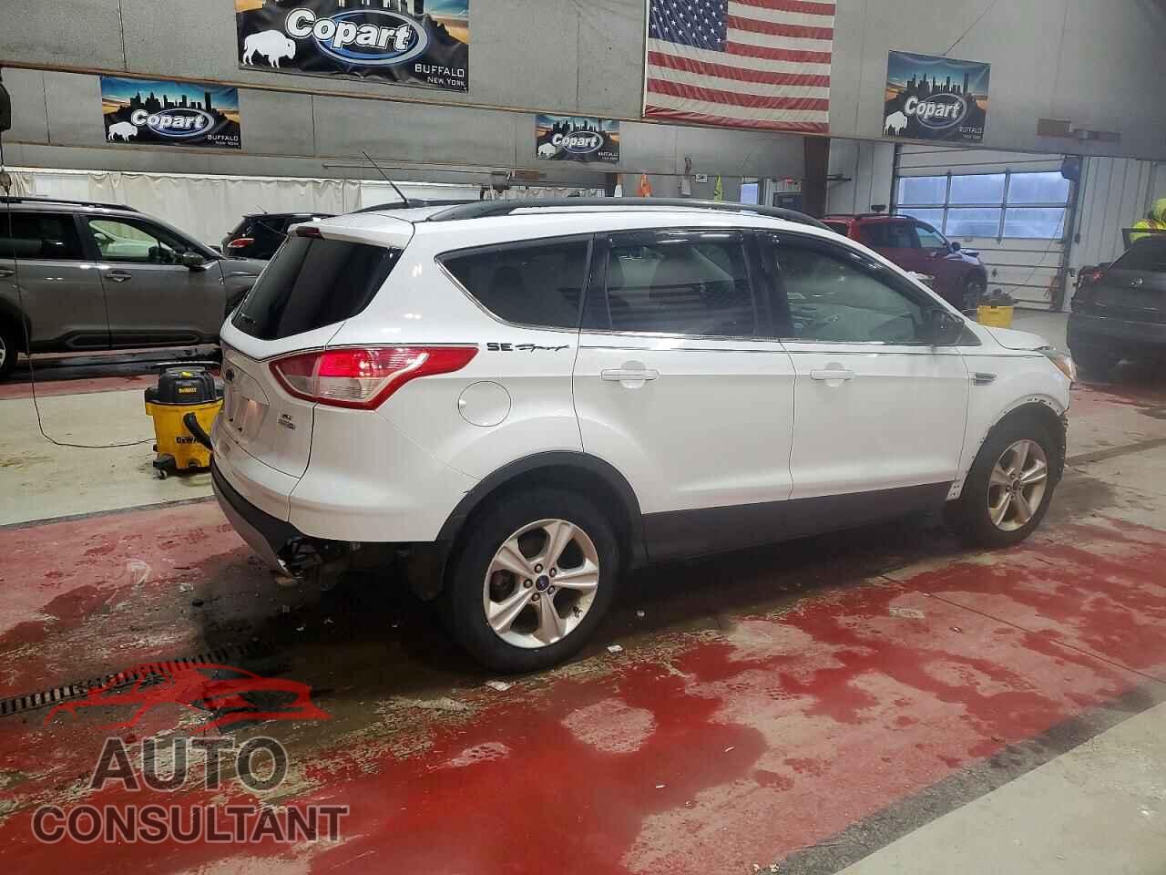 FORD ESCAPE 2014 - 1FMCU9GX8EUE49074