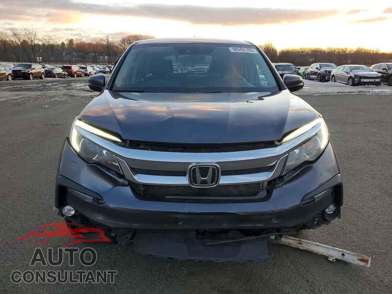 HONDA PILOT 2021 - 5FNYF6H37MB081153