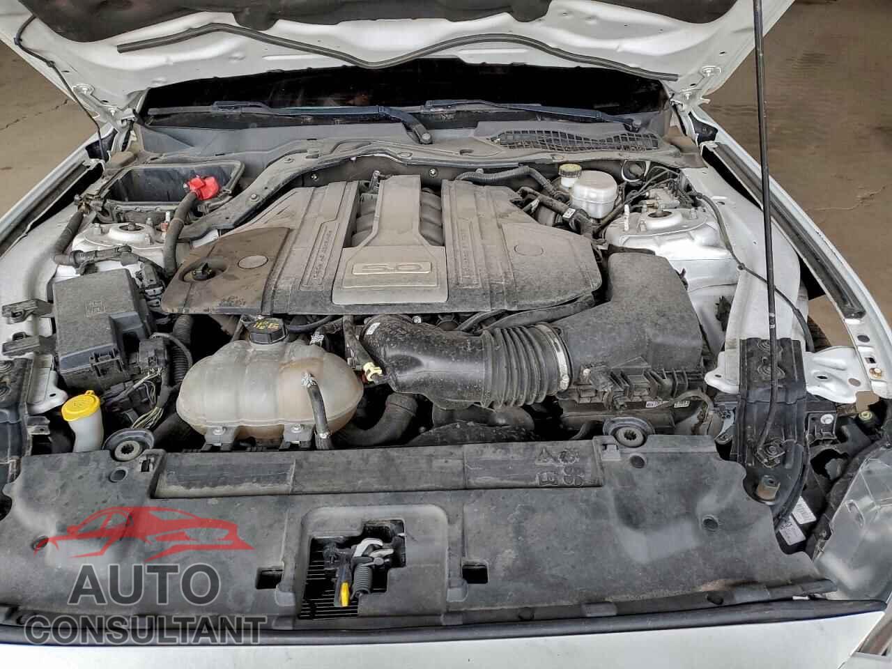 FORD MUSTANG 2019 - 1FA6P8CF4K5151925