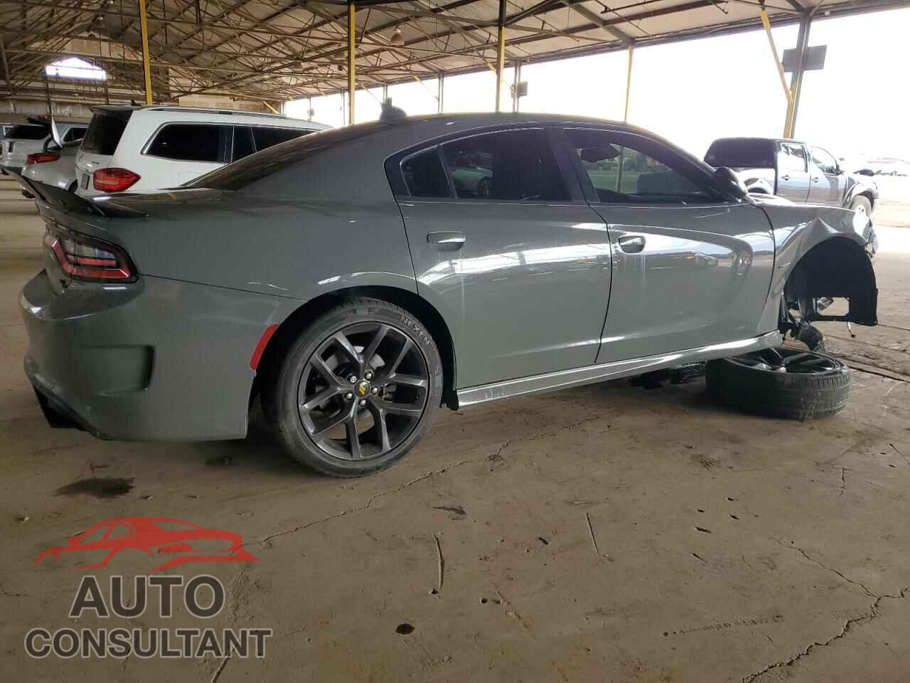 DODGE CHARGER 2019 - 2C3CDXCTXKH619448