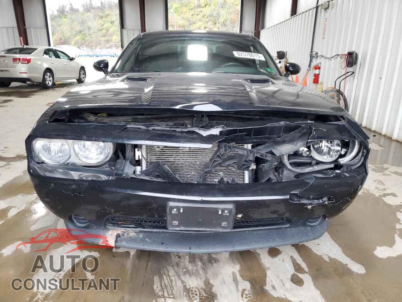 DODGE CHALLENGER 2013 - 2C3CDYAG3DH500560