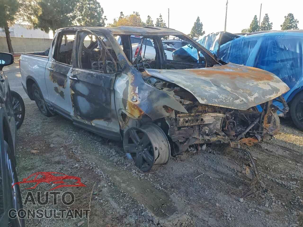 HONDA RIDGELINE 2022 - 5FPYK3F71NB025590