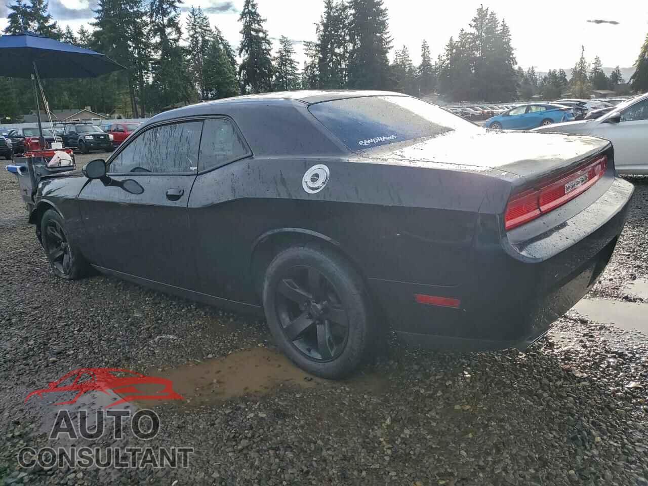 DODGE CHALLENGER 2013 - 2C3CDYAG3DH718689