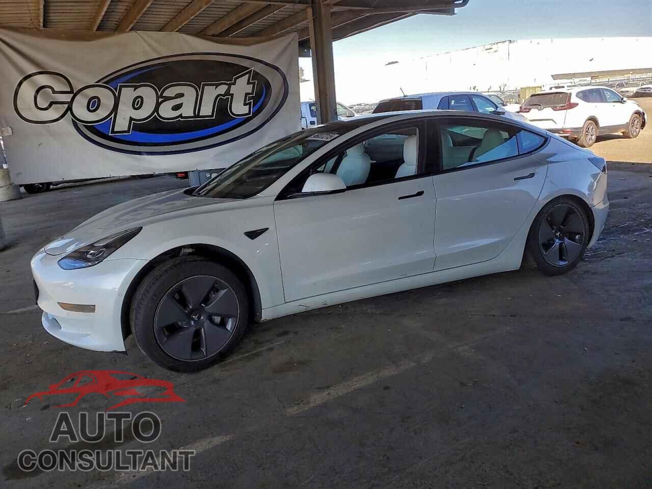 TESLA MODEL 3 2021 - 5YJ3E1EA3MF000667