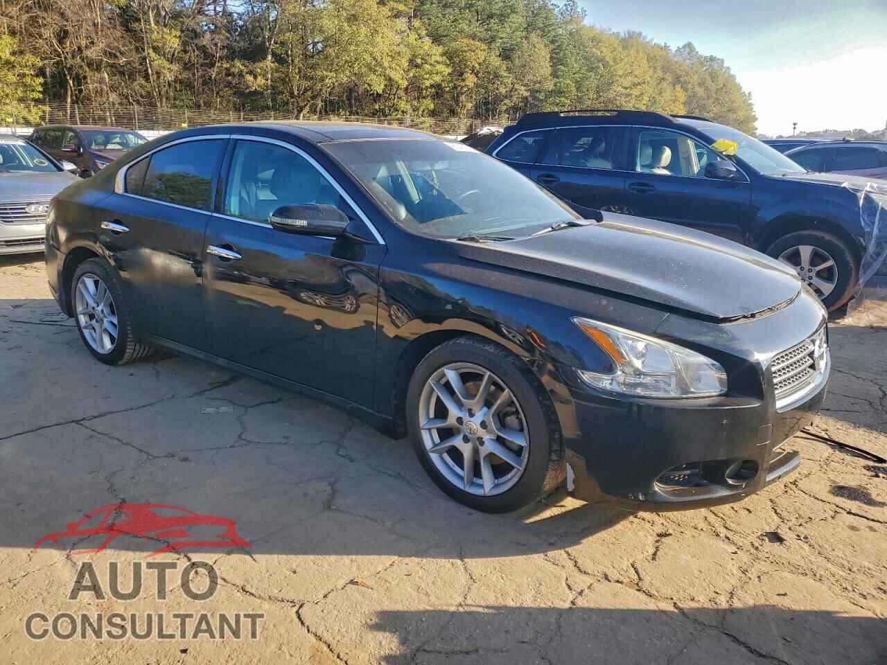 NISSAN MAXIMA 2011 - 1N4AA5AP1BC805314