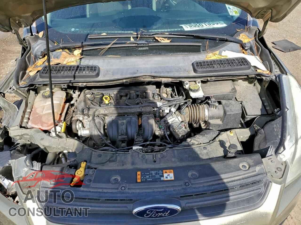 FORD ESCAPE 2014 - 1FMCU0F76EUB54407