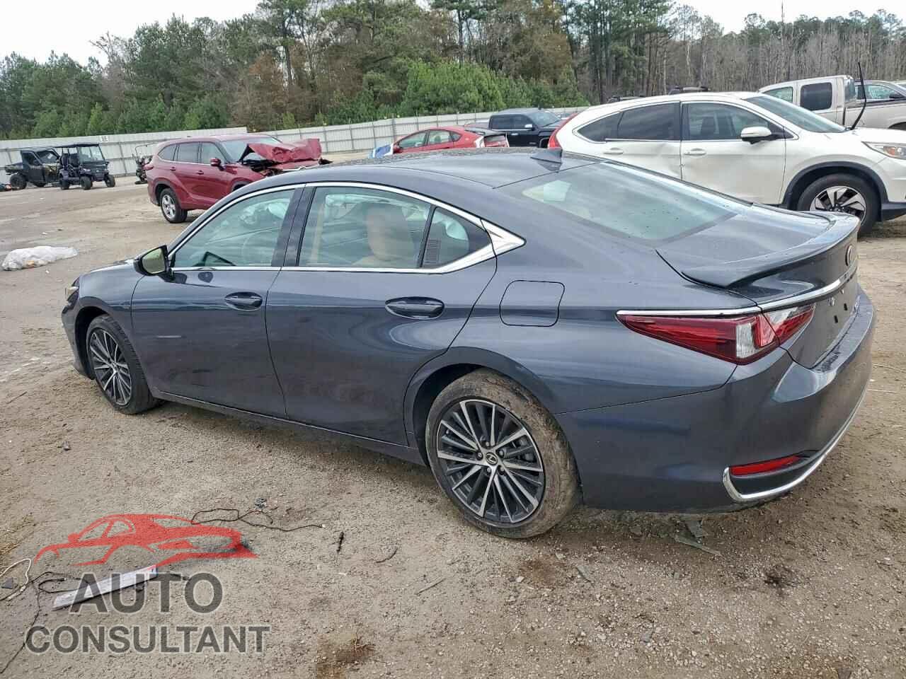 LEXUS ES300 2022 - 58ADA1C19NU025685