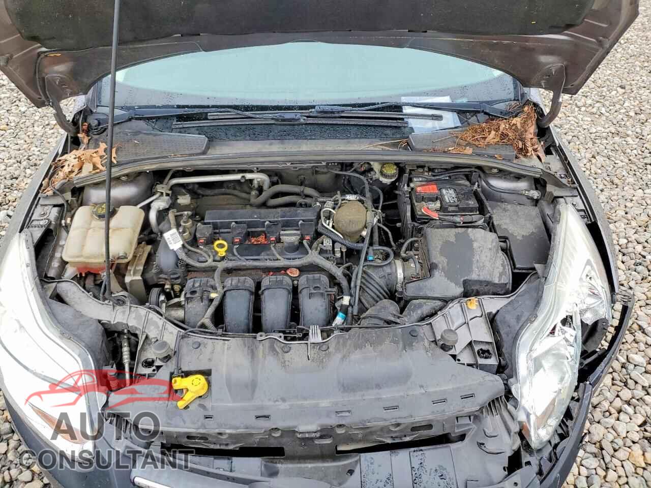FORD FOCUS 2014 - 1FADP3K20EL152935