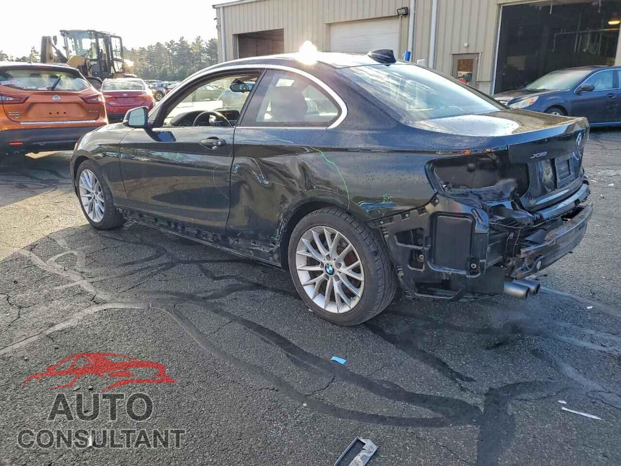 BMW 2 SERIES 2015 - WBA1G9C58FVX96579