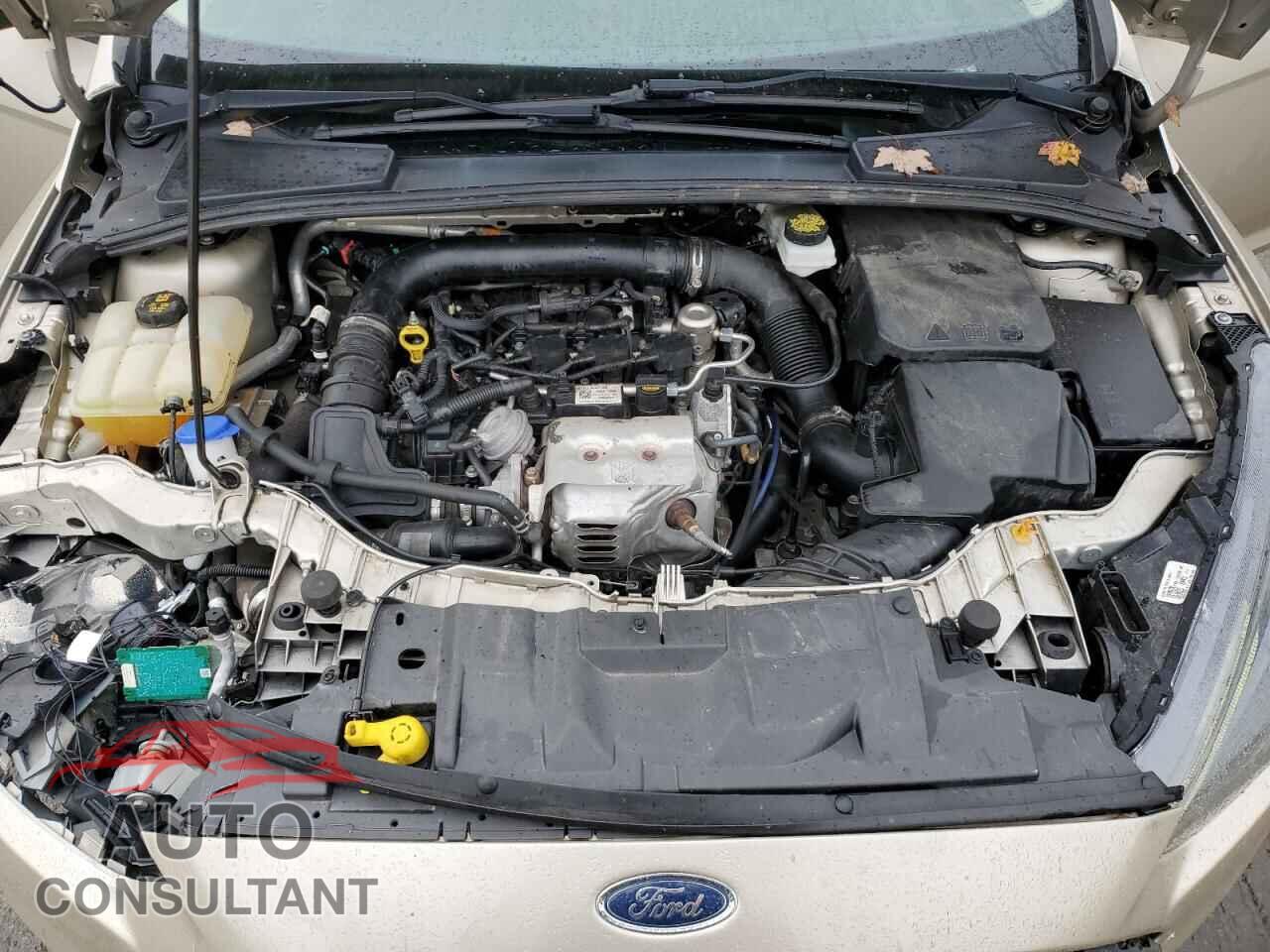 FORD FOCUS 2017 - 1FADP3FE1HL283042