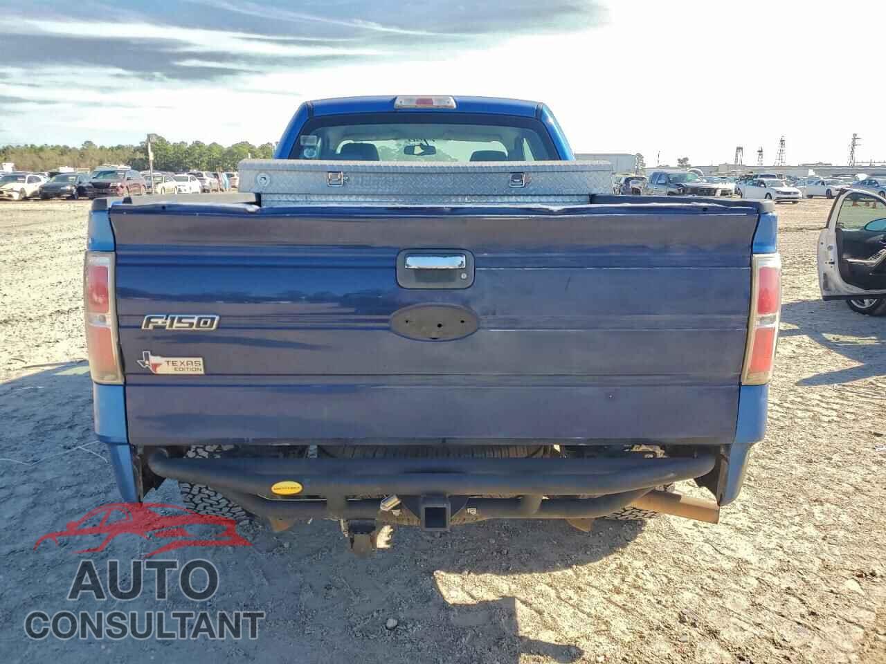 FORD F-150 2009 - 1FTRX12899FA42656