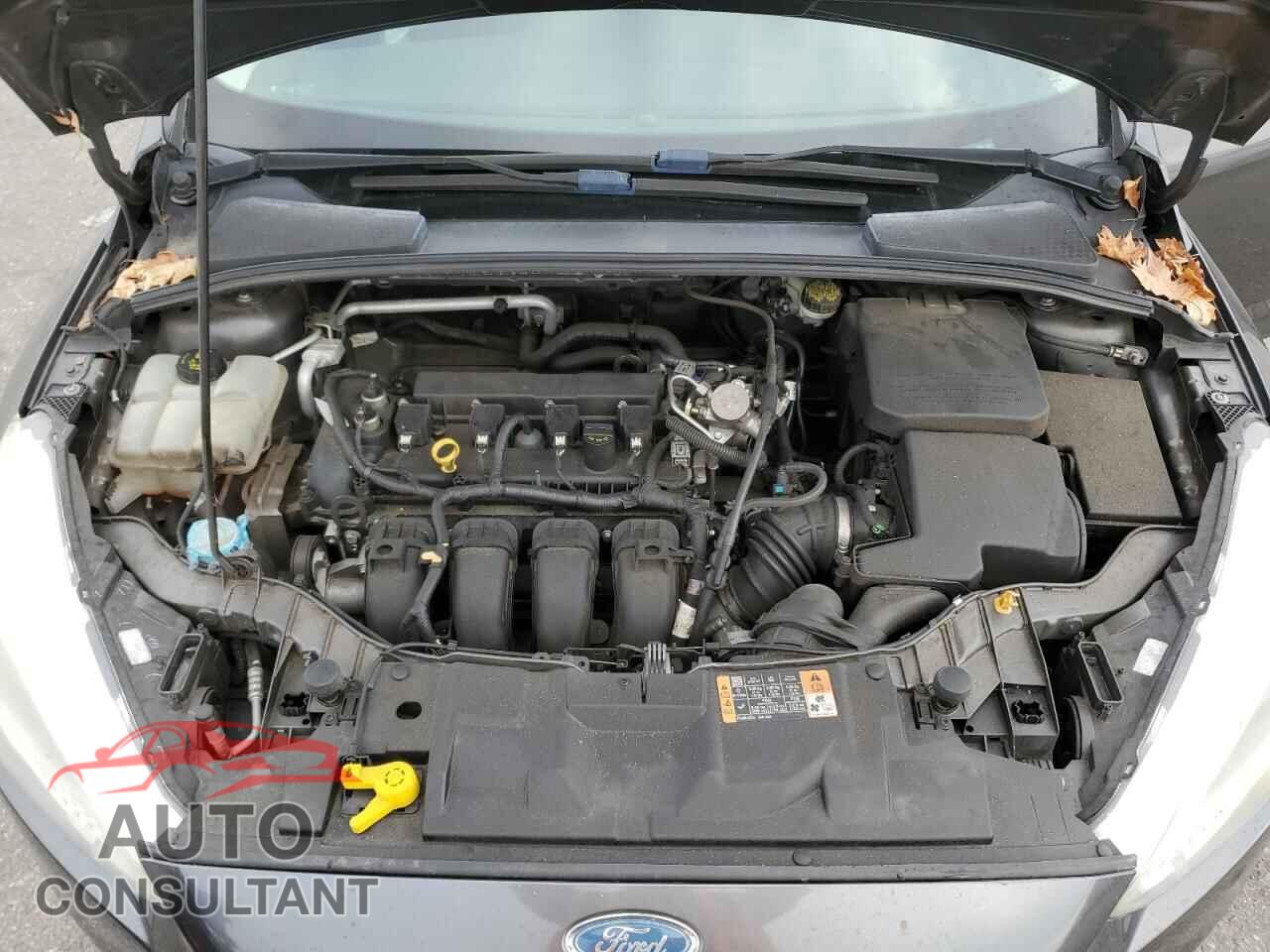 FORD FOCUS 2016 - 1FADP3F23GL320029