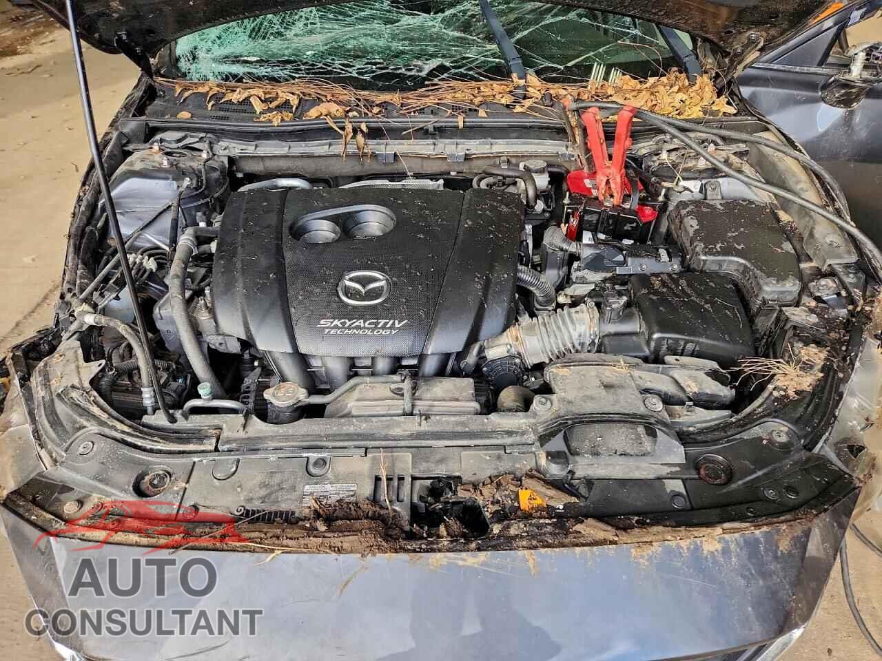 MAZDA 3 2014 - JM1BM1M76E1109316