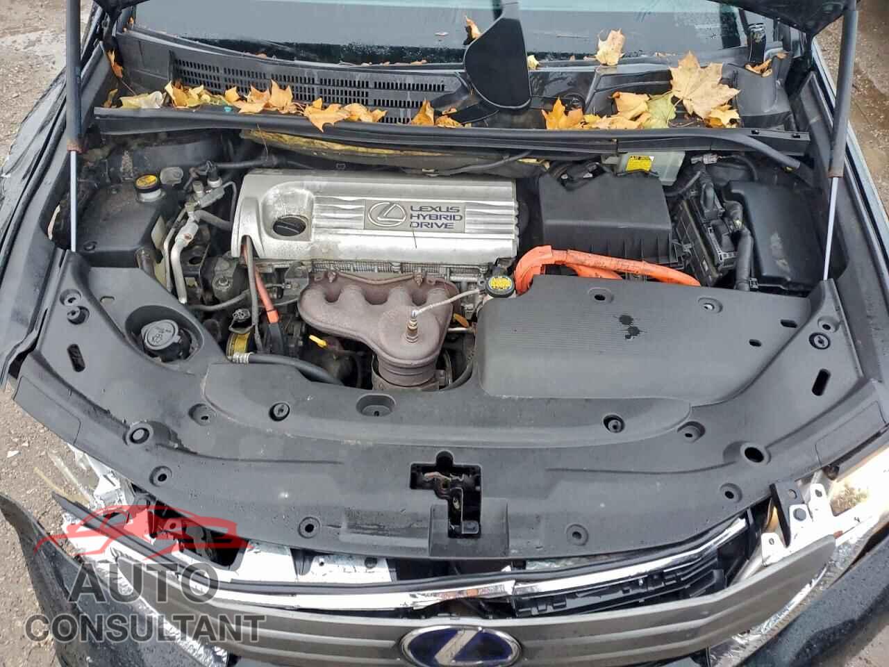 LEXUS HS 2010 - JTHBB1BA6A2001351